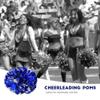 Cheerleader Pom Poms Cheerleading Pom Poms for Cheer Sport Kids Adults Plastic Ring (Blue) view 2