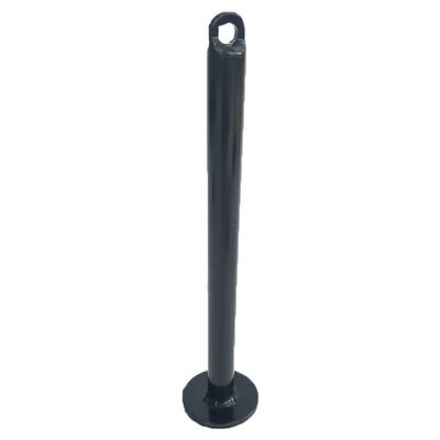 CKIDS Olympic Plate Loading Pin