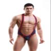 4UFIT Men's Mesh Leotard Underwear Jumpsuits Wrestling Singlet Bodysuit view 2
