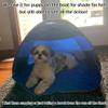 Beach Sun Shelters,Instant Sun Shade Canopy Head PopUp Canopy Automatic Shade Tent for Camping Hiking Picnic Portable Sun Shelter Windproof Waterproof with Mobile Phone Stand view 4