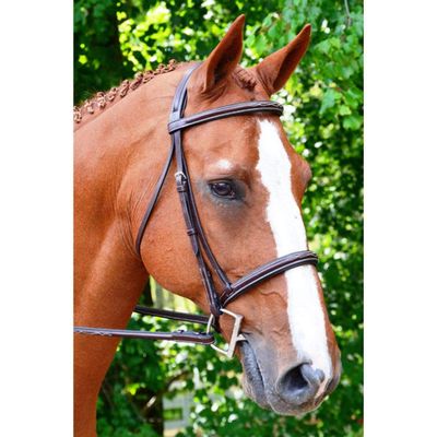 KL Select Black Oak Astor Bridle Brown Pony Size