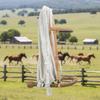 M-Royal Saddles Heavy Duty Western Horse Breaking Training Hackamore USA Made view 3