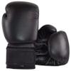 PFG GL Boxing Gloves view 1