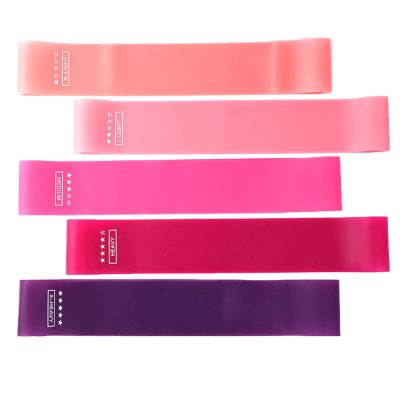 Resistance Loop Bands, Resistance Exercise Bands for Home Fitness, Stretching, Strength Training, Physical Therapy, Pilates Flex Bands Pink