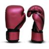 PFG Metallic Boxing Gloves - MMA Muay Thai Training & Fight view 2
