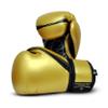 PFG Metallic Boxing Gloves - MMA Muay Thai Training & Fight view 1