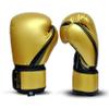 PFG Metallic Boxing Gloves - MMA Muay Thai Training & Fight view 2