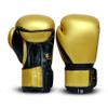 PFG Metallic Boxing Gloves - MMA Muay Thai Training & Fight view 4