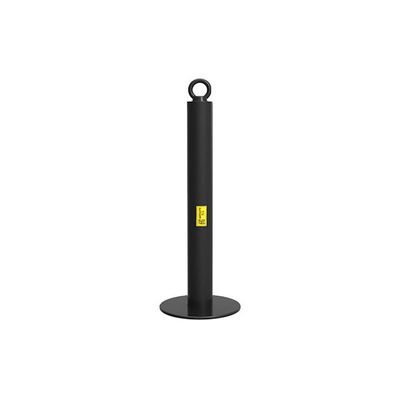 Olympic Weight Plates Loading Pin (1 inch Diameter, High 8 inch)