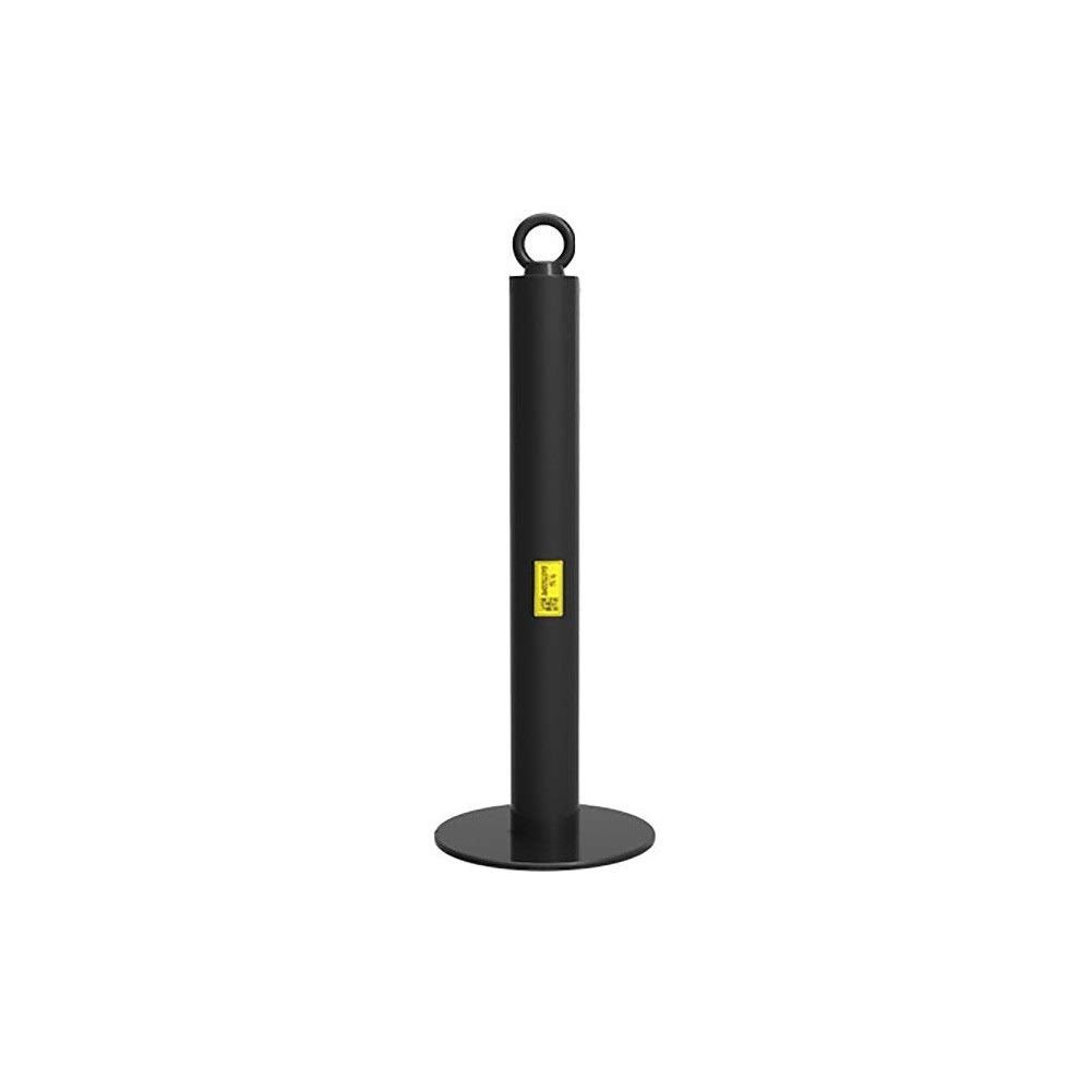 Olympic Weight Plates Loading Pin (1 inch Diameter, High 8 inch)