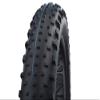Schwalbe - Jumbo Jim Off Road and Trail Tubeless Folding Fat Bike Tire | 26 x 4.8 | Evolution Line, Super Ground, Addix SpeedGrip | Black view 1