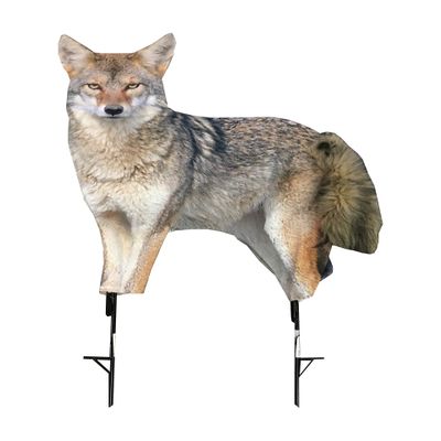 MONTANA DECOY Song Dog, brown