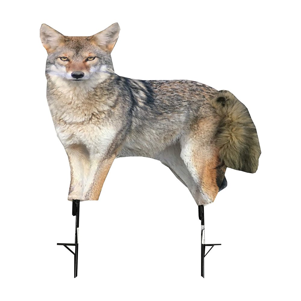 MONTANA DECOY Song Dog, brown