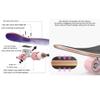 TXTC Profession Skateboards Flash Wheel ABEC-11 Complete Maple Cruiser Skateboards Bearings Longboard Skateboards for Beginners Starters Kids Boys Girls Youth (Color : C) view 2