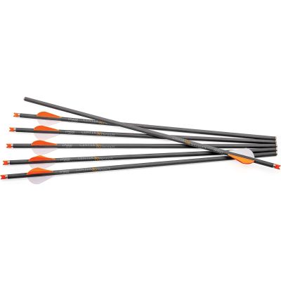 CenterPoint CP400 20-Inch Carbon Arrows 6ct
