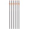 CenterPoint CP400 20-Inch Carbon Arrows 6ct view 3