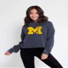 chicka-d NCAA Michigan Wolverines Womens Campus Cropped Hoodie, Ink, X-Large view 4
