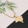 Gold Color Brazil Map Brasil Flag Pendant Necklaces for Women Brazilians Map Charm Jewelry Gifts view 2