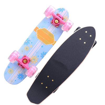 Skateboard Small Fish Board Beginner Adult Boys and Girls Skateboard with Colorful Flashing Wheels Adult Travel Four-Wheeled Scooter, Complete 22 Inch Cruiser Skateboard (Color : D-Flash Wheel)