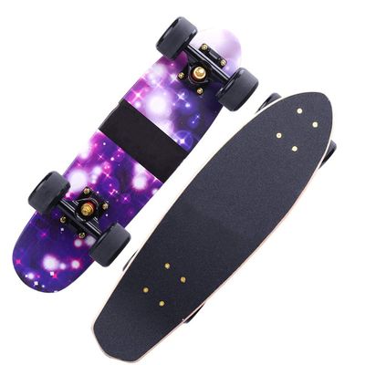 Skateboard Small Fish Board Beginner Adult Boys and Girls Skateboard with Colorful Flashing Wheels Adult Travel Four-Wheeled Scooter, Complete 22 Inch Cruiser Skateboard (Color : C)