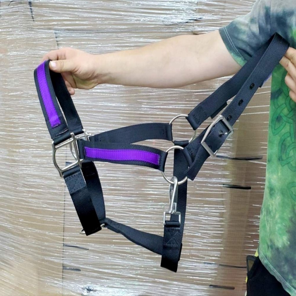 USA Made Wide Nylon Draft Horse Black Halter & Purple Overlay