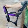 USA Made Wide Nylon Draft Horse Black Halter & Purple Overlay view 1