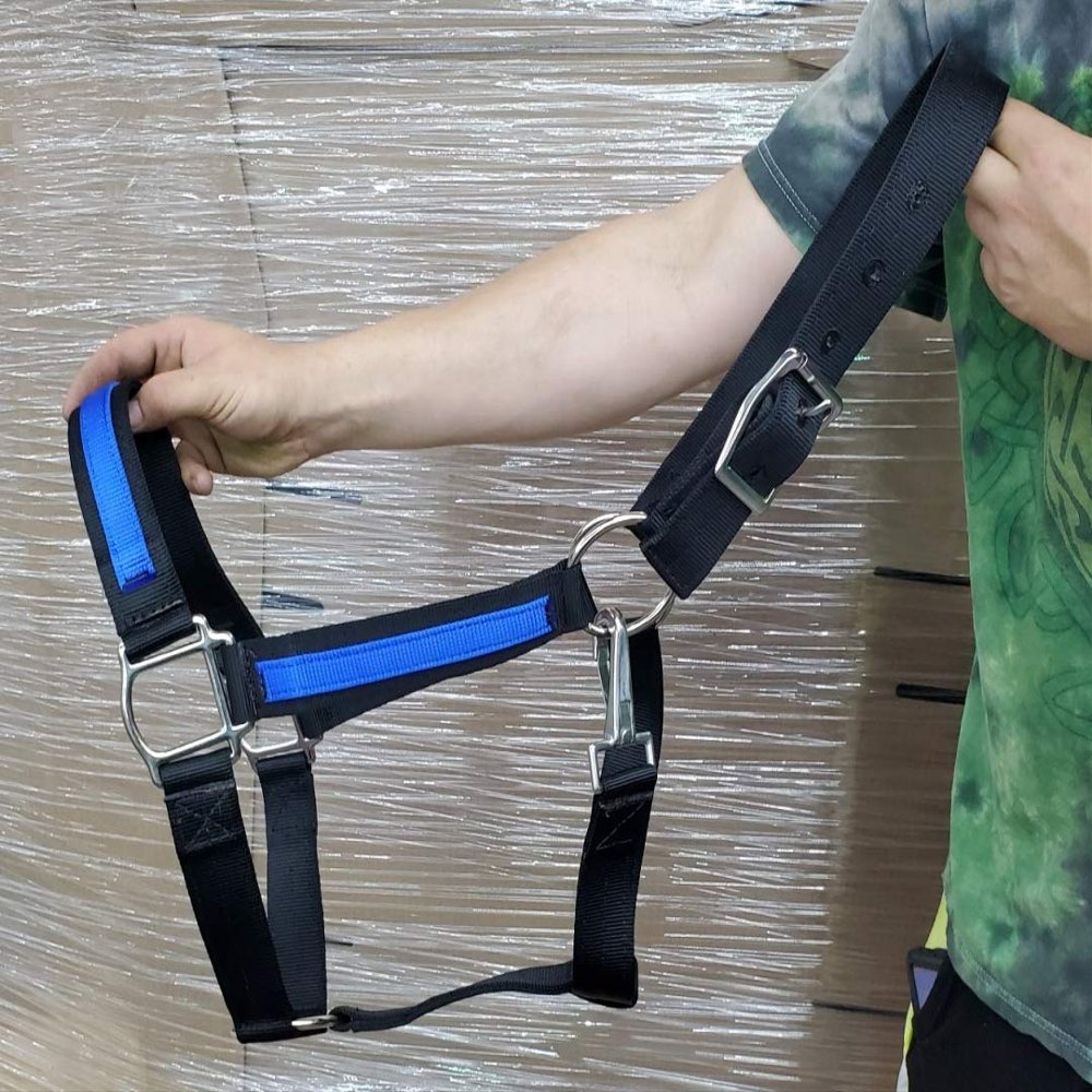 USA Made Wide Nylon Draft Horse Black Halter & Blue Overlay