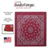 $averPak Single - BodyForge 100% Cotton Paisley Bandanna Headband Face Mask Neck Gaiter Scarf for Men & Women (Black) view 2