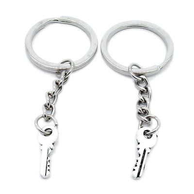 1 Pieces Keyring Keychain Wholesale Suppliers Jewelry Clasps R7TW1Z Fake Skeleton Key