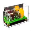 Better Display Cases Acrylic Double Mini - Miniature (not Full Size) Football Helmet or Mini Goalie Mask Display Case with Mirror Case, Yellow Risers, Wall Mount and Turf Base (A019/V46) view 2