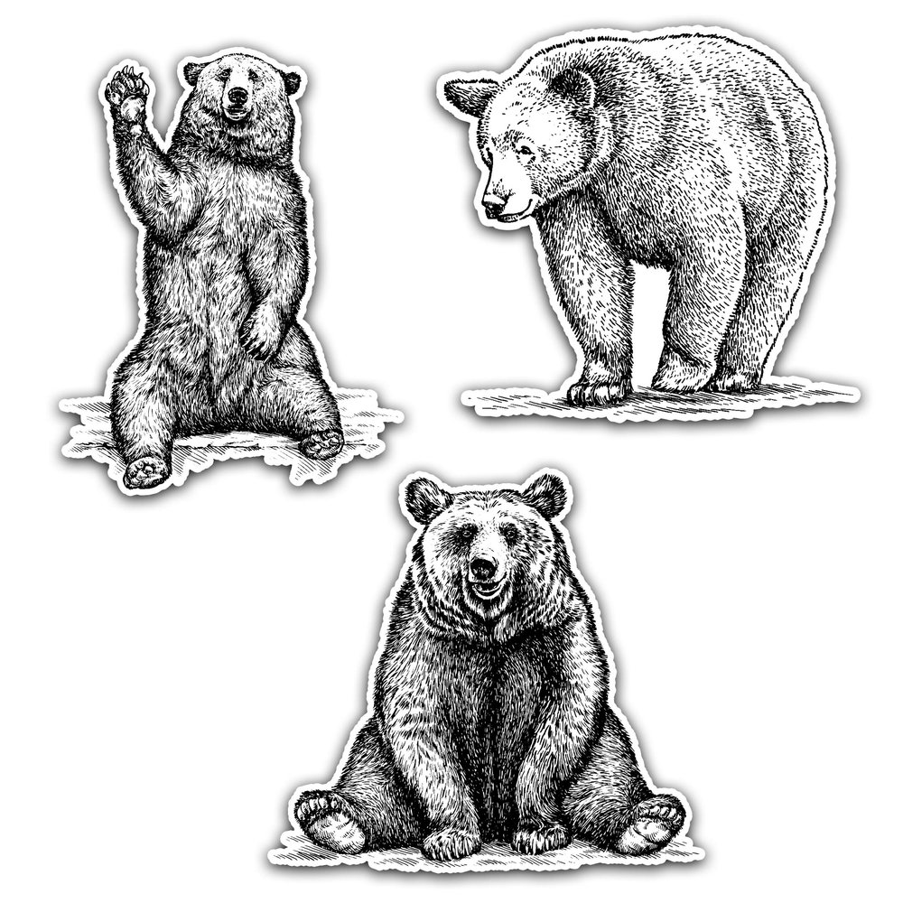 NORTHERN DOCK Waving Bear Decal Adventure Decal Hi Five Bear Bumper Sticker (Three-Pack Combo)