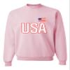 Go All Out Small Classic Pink Mens USA National Pride Sweatshirt Crewneck view 1