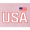 Go All Out Small Classic Pink Mens USA National Pride Sweatshirt Crewneck view 4