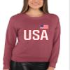 Go All Out 3X-Large Vintage Heather Red Mens USA National Pride Sweatshirt Crewneck view 2