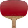 Butterfly Cypress G-Max Pro-Line Racket - Excellent for Powerful, Punishing Topspin Play from All Distances - Recommended for Aspiring Professional Players - Pro-Line Series view 3