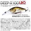 DEEP-X 100 LBO (Deep X 100 LBO) Japanese Silver Oikawa view 2
