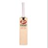 SG Century Classic Cricket Bat, Short Handle view 1