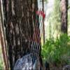 Carbon Express Maxima Triad XSD 350 6 PK Shafts, Fletched,Multi,One Size,51111 view 3