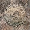 TROPHY IMAGE Deer and Elk Mineral Feed | Attract and Supply Optimal Nutrition to Wildlife | 25 Pound Bag view 4