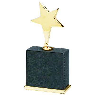 SHOP AWARDS AND GIFTS Customizable 7-3/4 x 3-1/2 Inch Black Leatherette Star Award, Includes Personalization