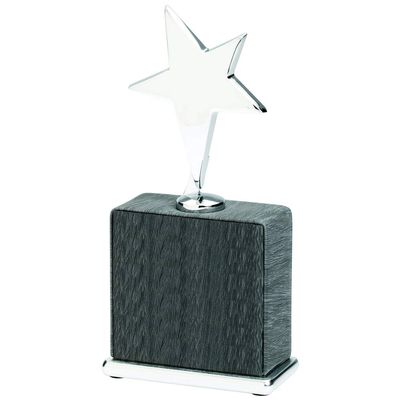 SHOP AWARDS AND GIFTS Customizable 7-3/4 x 3-1/2 Inch Grey Leatherette Star Award, Includes Personalization