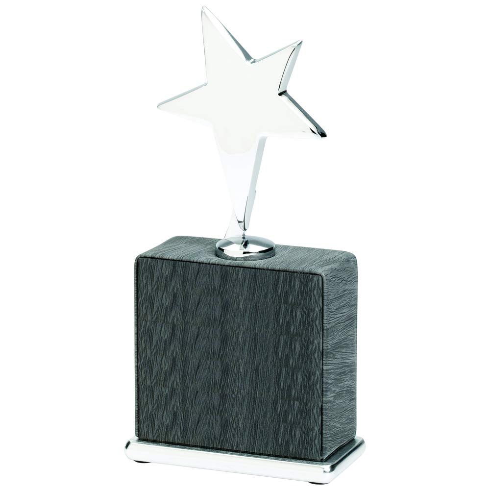 SHOP AWARDS AND GIFTS Customizable 7-3/4 x 3-1/2 Inch Grey Leatherette Star Award, Includes Personalization