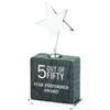 SHOP AWARDS AND GIFTS Customizable 7-3/4 x 3-1/2 Inch Grey Leatherette Star Award, Includes Personalization view 2