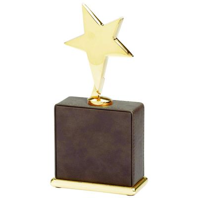 SHOP AWARDS AND GIFTS Customizable 7-3/4 x 3-1/2 Inch Brown Leatherette Star Award, Includes Personalization