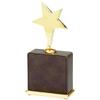 SHOP AWARDS AND GIFTS Customizable 7-3/4 x 3-1/2 Inch Brown Leatherette Star Award, Includes Personalization view 1