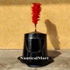 Nautical-Mart Monty Python & The Holy Grail Helmet of Sir Bedevere view 4