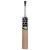 SS Kashmir Willow Leather Ball Cricket Bat, Exclusive Cricket Bat for Adult Full Size with Full Protection Cover (Magnet) view 2