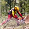 Protos Integral Arborist Helmet - Olive view 3