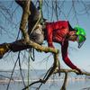 Protos Integral Arborist Helmet - Olive view 4