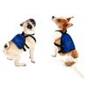 Littlearth Unisex-Adult NHL St. Louis Blues Pet Mini Backpack, Team Color, Small view 2